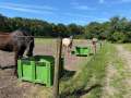Slowfeeder Grün XXL (1 m³) - Fotos 4